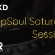 DeepSoul Saturday Sessions #27 ft guest DJ Therd Suspect